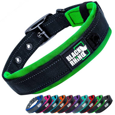 Forcefield best sale dog collar